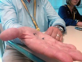 环法赛道类似地毯钉的异物