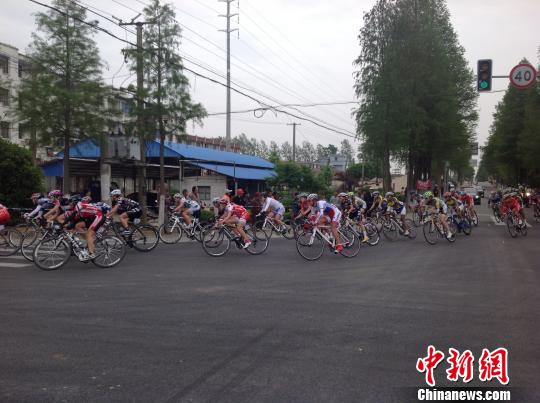 图为2013年环崇明岛女子国际公路自行车赛在沪举行,选手在激烈争夺中 宗晨亮 摄
